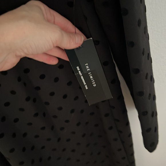 Black polka dot dress - Limited - new with tags - Picture 6 of 10